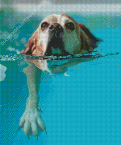 Dog Swimming Diamond Painting