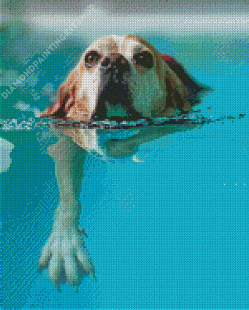 Dog Swimming Diamond Painting