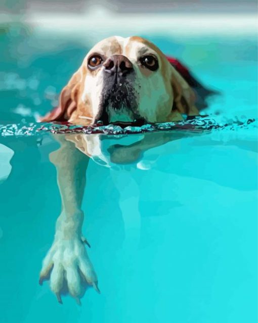 Dog Swimming Diamond Painting