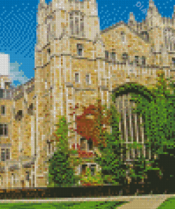 University Of Michigan Diamond Painting