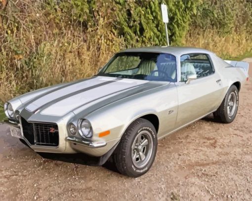 Grey 1972 Camaro Diamond Painting