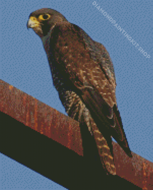 Peregrine Falcon Diamond Painting