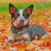 Blue Heeler Diamond Painting