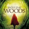 Into The Woods Poster Diamond Painting