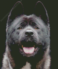 Black American Akita Diamond Painting