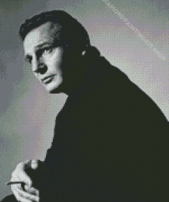 Black And White Liam Neeson Diamond Painting