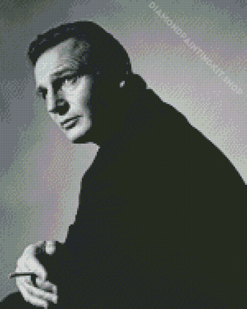 Black And White Liam Neeson Diamond Painting