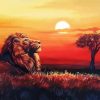 Lion Sunset View Art Diamond Painting