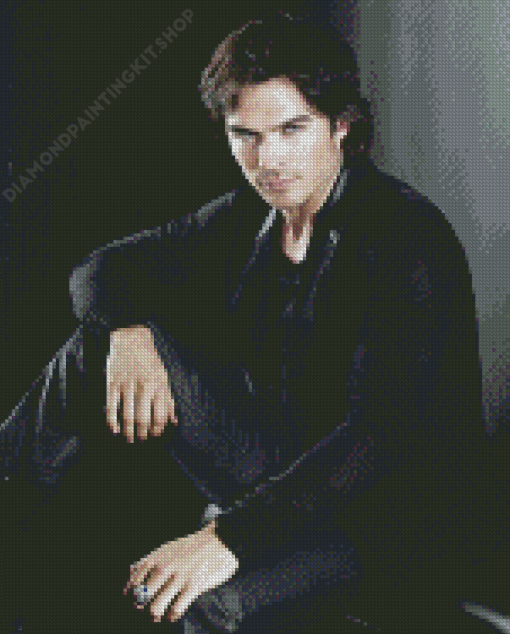 Damon Salvatore Vampire Diaries Diamond Painting