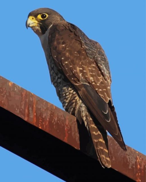 Peregrine Falcon Diamond Painting