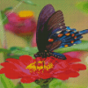 Red Rose Butterfly Diamond Painting