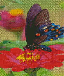 Red Rose Butterfly Diamond Painting