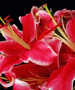 Red Stargazer Lily Flowers Diamond Painting