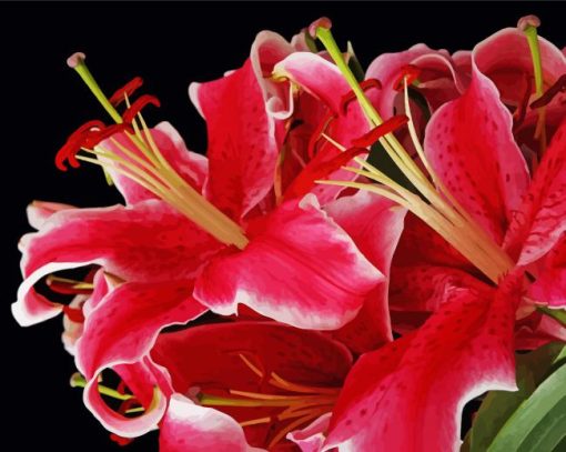 Red Stargazer Lily Flowers Diamond Painting