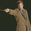 Remus Lupin Diamond Painting