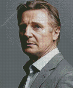 Classy Actor Liam Neeson Diamond Painting