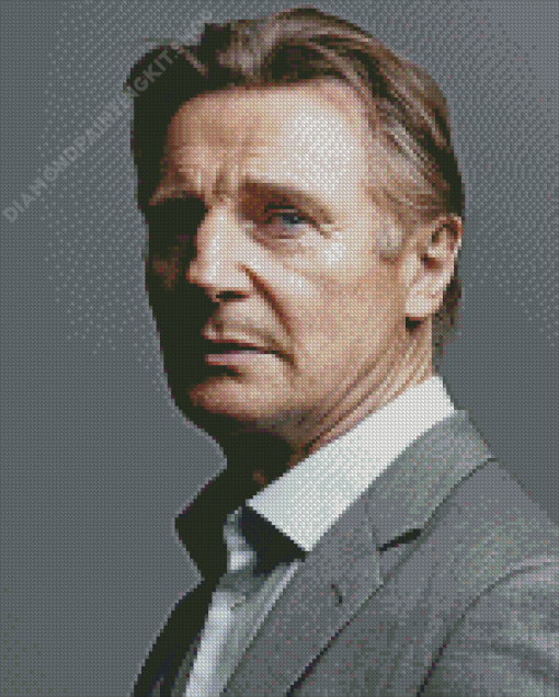 Classy Actor Liam Neeson Diamond Painting