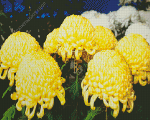 Yellow Japanese Flowers Diamond Painting