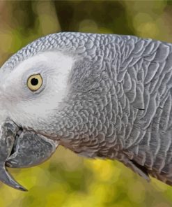 African Parrot Diamond Painting