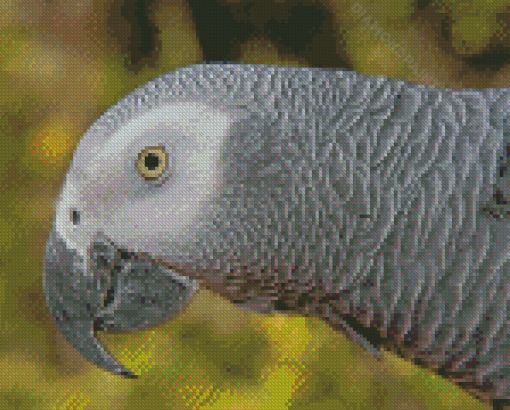 African Parrot Diamond Painting