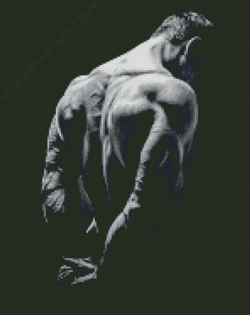 Black And White Strong Man Back Diamond Painting