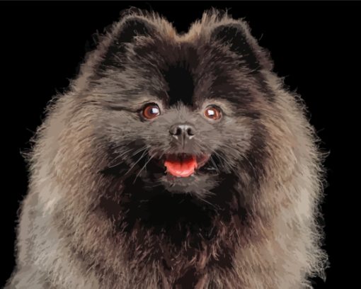 Close Up Black Pomeranian Diamond Painting