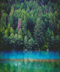 Dense Forest Landscape Diamond Painting