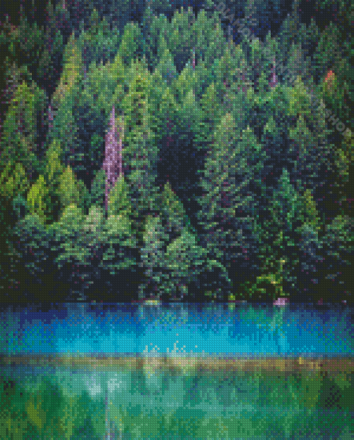 Dense Forest Landscape Diamond Painting