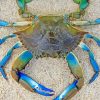 Green And Blue Crab Diamond Painting