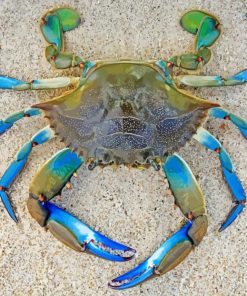 Green And Blue Crab Diamond Painting