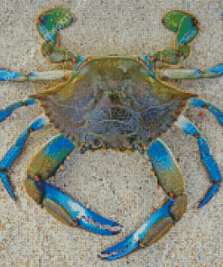 Green And Blue Crab Diamond Painting