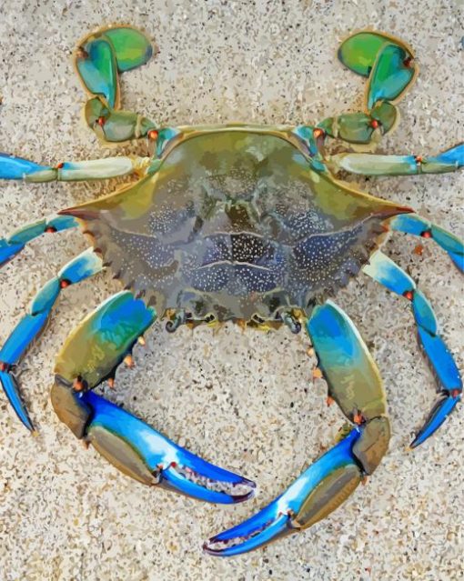 Green And Blue Crab Diamond Painting