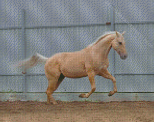 Palomino Horse Diamond Painting