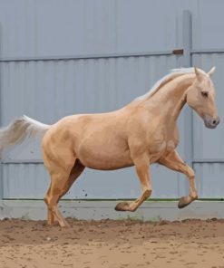 Palomino Horse Diamond Painting