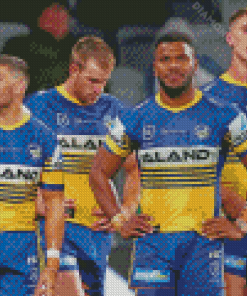 Parramatta Eels Team Diamond Painting