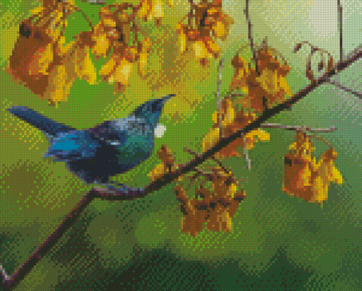 Tui Bird In Kowhai Tree Diamond Painting