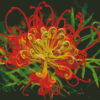 Red And Yellow Grevillea Diamond Painting