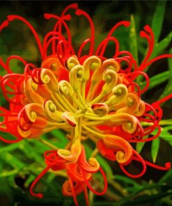 Red And Yellow Grevillea Diamond Painting