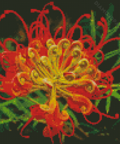 Red And Yellow Grevillea Diamond Painting