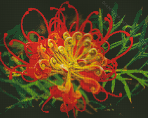 Red And Yellow Grevillea Diamond Painting