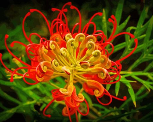 Red And Yellow Grevillea Diamond Painting