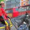 Royal Canadian Mounted Police Woman Diamond Painting