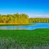 Scenic Marsh At Lake Mattamuskeet Diamond Painting