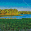 Scenic Marsh At Lake Mattamuskeet Diamond Painting