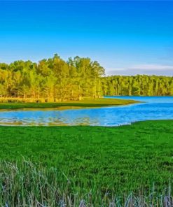 Scenic Marsh At Lake Mattamuskeet Diamond Painting