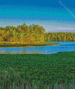 Scenic Marsh At Lake Mattamuskeet Diamond Painting