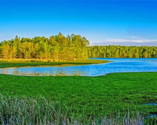 Scenic Marsh At Lake Mattamuskeet Diamond Painting