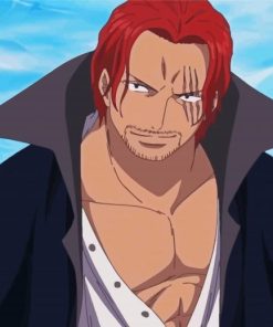 Shanks One Piece Diamond Painting