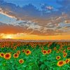 Sunflowers Field Italy Tuscany Diamond Painting