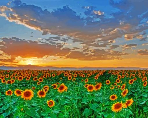 Sunflowers Field Italy Tuscany Diamond Painting